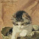 Cats Life 이미지