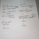 생각선 | 하와이 가족스냅촬영 후기