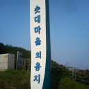 물치항횟집