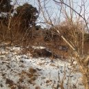 보련산 농장 이미지