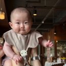 블루마미 이미지