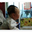 재원비디오 이미지