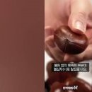 밤 찌는법 찌는 시간 쉽게 밤껍질까기 밤 보관법 제철 밤요리 이미지