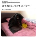 아들 출근했는데 방 가봤더니... 이미지