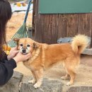 동락공원 민속정원 화장실 | [아산 여행] 겨울 촌캉스 아산 외암민속마을 숙소 내돈내산 방문후기 온양온천전통시장 국밥 맛집