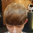 댄디헬시