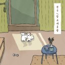 루아공방 이미지