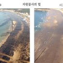 사목2리 이미지