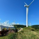 여왕목장 이미지