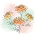 골드세탁소 이미지