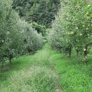 자운농장 이미지