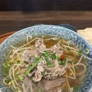 엄마도 꿈꾸는 여자였다 | 내 지난날들은 멜라토닌 한 움큼 먹고 꾸는 꿈