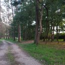 보성농장 이미지