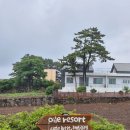 올레리조트 | 비 오는 제주 첫날, 올레리조트 패밀리 스위트 솔직 후기