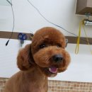 박한준종합동물병원 이미지