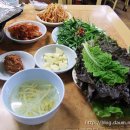 집으로돼지아주