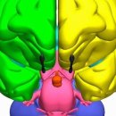 경희대화한의원 이미지