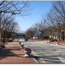 이동공설시장 이미지