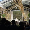 가위든개 | 청주웨딩홀 에스가든｜단독홀, 하우스웨딩 가능한 S가든 청주 솔직 후기