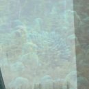 아산천수한의원 이미지