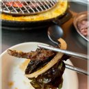 신마포갈매기 이미지