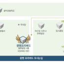 프리버드 Daum카페