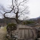 다성자원 이미지