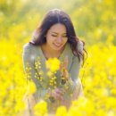 고향에봄 이미지