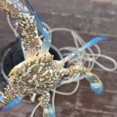 제주 마중 민박 | 제주바다펜션 제주마중펜션, 가성비 가족여행객 필독! 숨겨진 매력 파헤치기