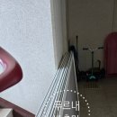 더파인타운 | 푸르내 방충망 🏡 송파구 장지동 송파파인타운 올시공 후기
