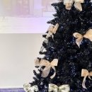 카멜 | 안산카페 / 안산 사리역 통창뷰 대형카페 바바카멜 방문 후기 (메뉴, 주차)