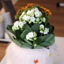 서울힐링요양병원 이미지