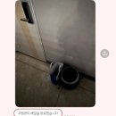 풍기한의원 | [Daily] 10월, 몸도 마음도 코쓱모쓱