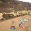 애완견 돌봄원 네이버블로그