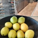 주주한식뷔페 | 중국 연태 여행 힐튼 호텔 2박3일 조식 뷔페 이용 후기