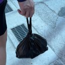 수산물직판장(19호) | 경기 화성 놀거리 | 궁평항 맛집 | 궁평항수산물직판장