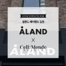 몽드뷰티 이미지