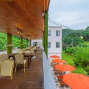 디파우제 이미지