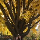 세븐일레븐종로창성점 이미지