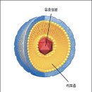 기준약국 이미지