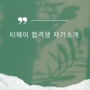 플랜비주짓수 | 티웨이 합격생은 이렇게 답했다｜티웨이 면접 질문 “제2의 직업으로 자기소개해보세요”