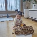 채은농장 이미지