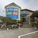 피반령송어나라 이미지