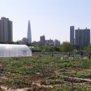 솔이농장 이미지