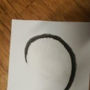 기를품은 이미지