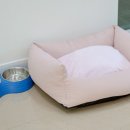 하이몽애견풀빌라 이미지