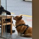 (주)후레쉬케터링(미래) | 서촌 추천 코스, 동아식당, 워킹어라운드, 풍류, 세그라빈티지, 테이크마이옐로우