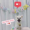 도그야미 이미지