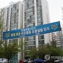 분당-271 이미지