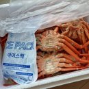 연지상사 이미지